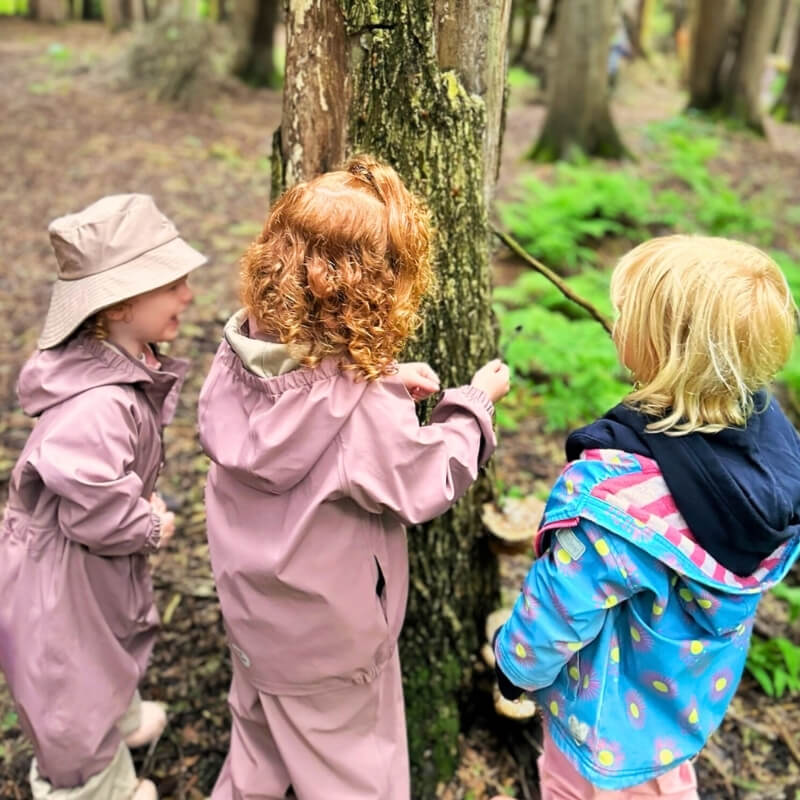 Three preschool children examine the bark of a tree in the forest